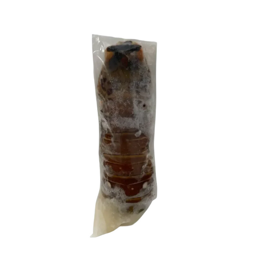 Cola Langosta 5 Oz (Precio Por Pieza)