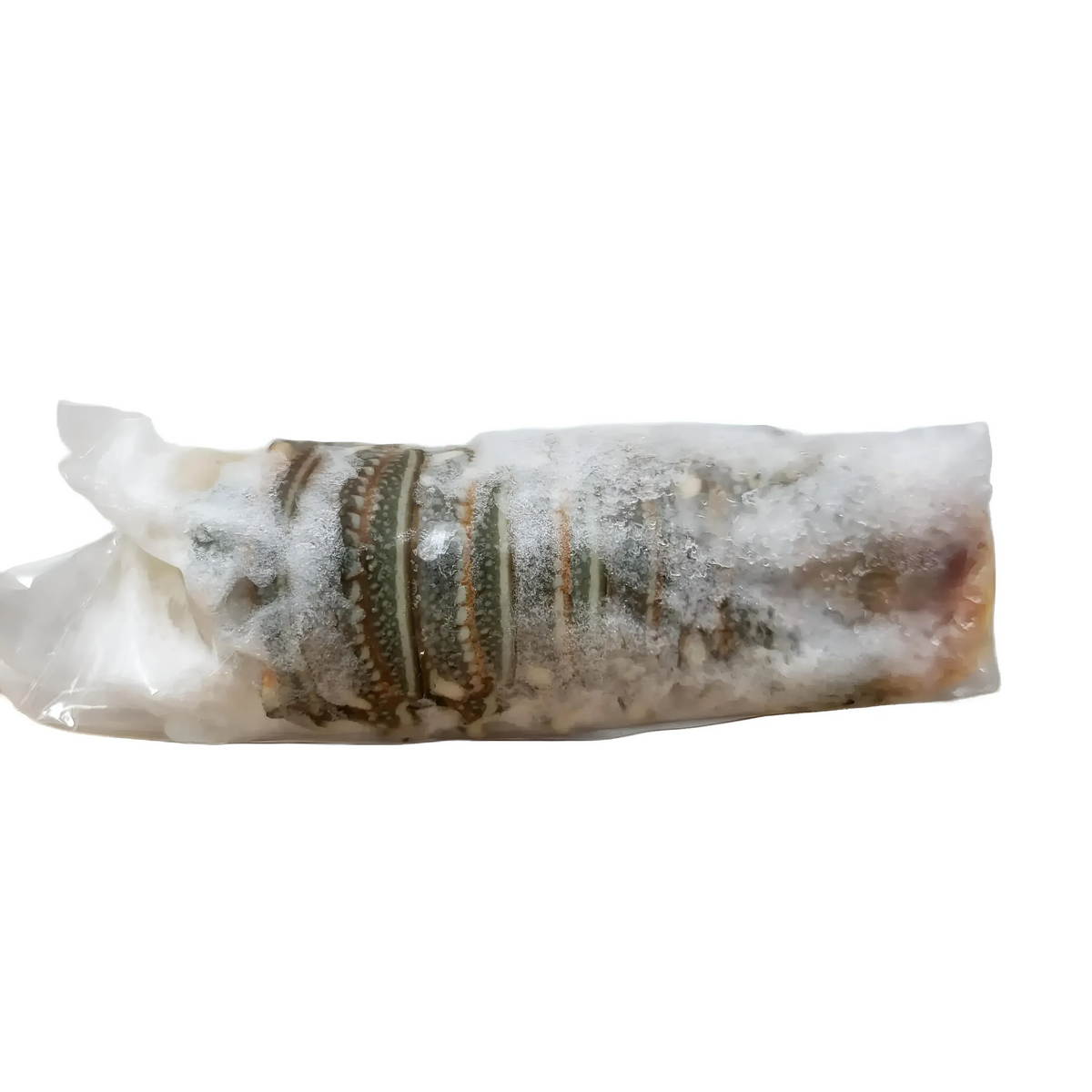 Cola De Langosta Por Pieza De 4 Oz Aprox